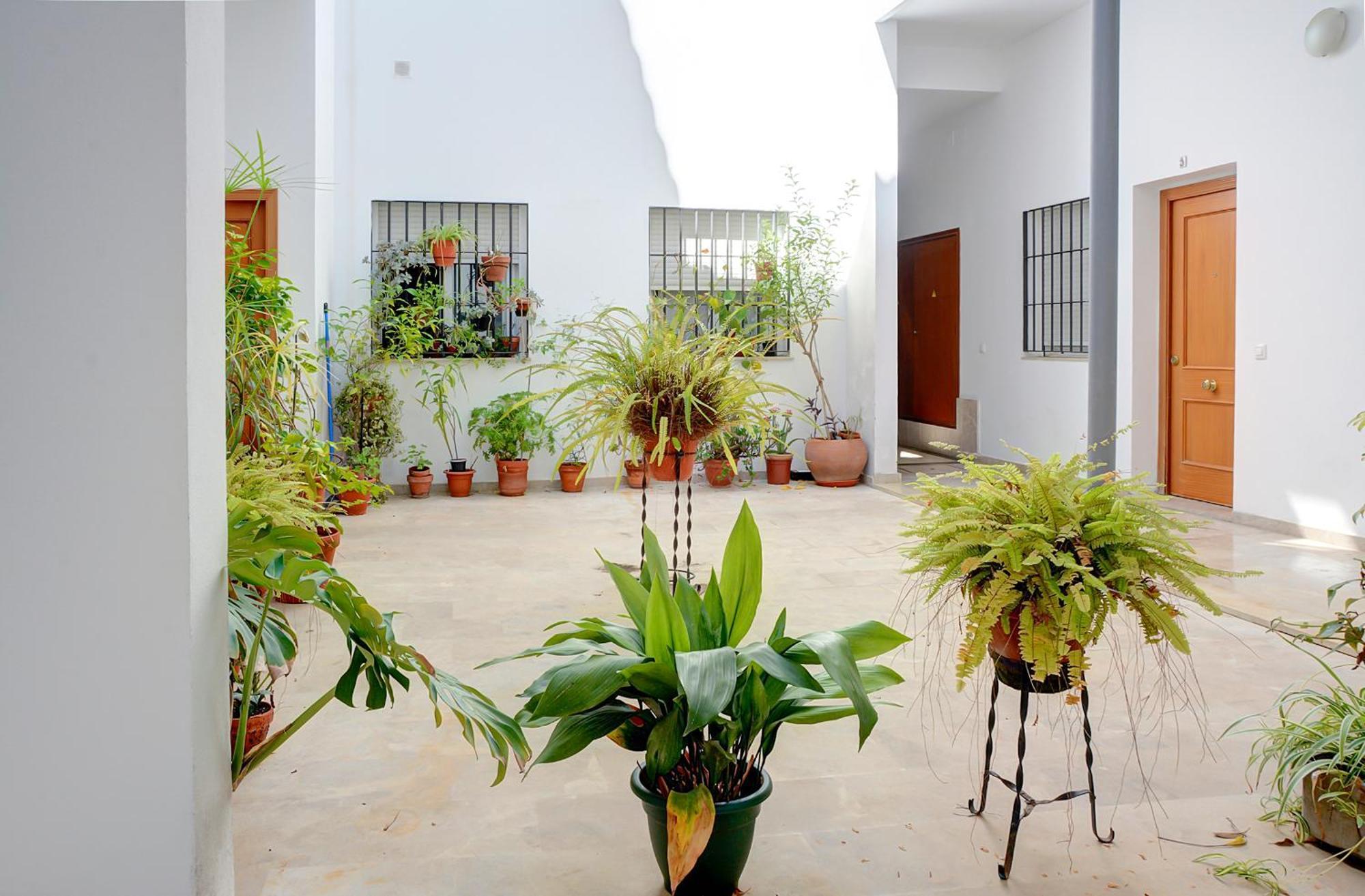 Estudio Plaza De La Encarnacion Siviglia Esterno foto